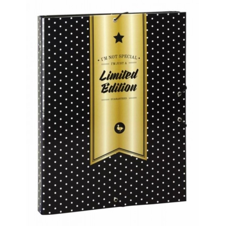 Папка 12 отделения Moos Topos 33,5х26см