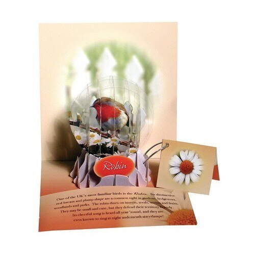 Felicitare 3D tip glob-Pasare Robin