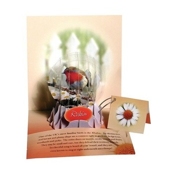 Felicitare 3D tip glob-Pasare Robin Felicitare 3D tip glob-Pasare Robin