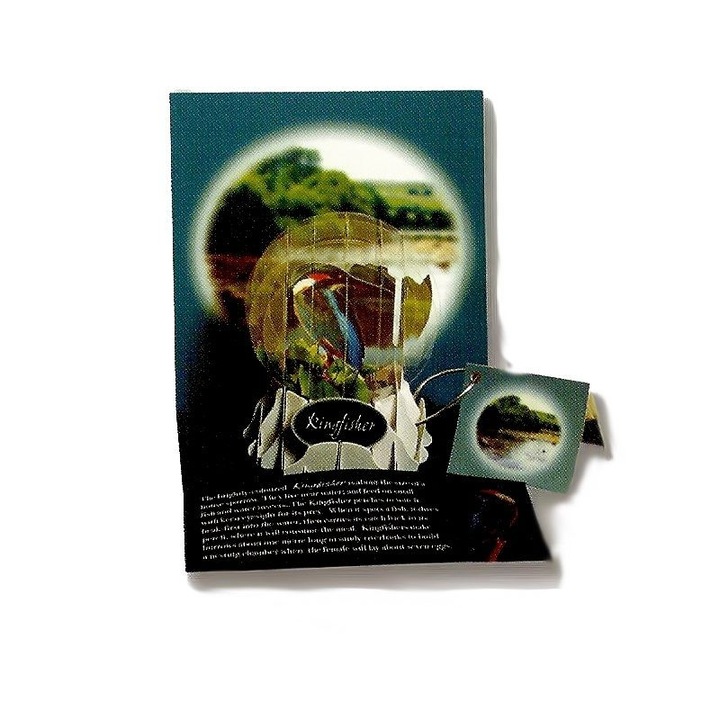 Globe-Kingfisher 3D üdvözlőlap