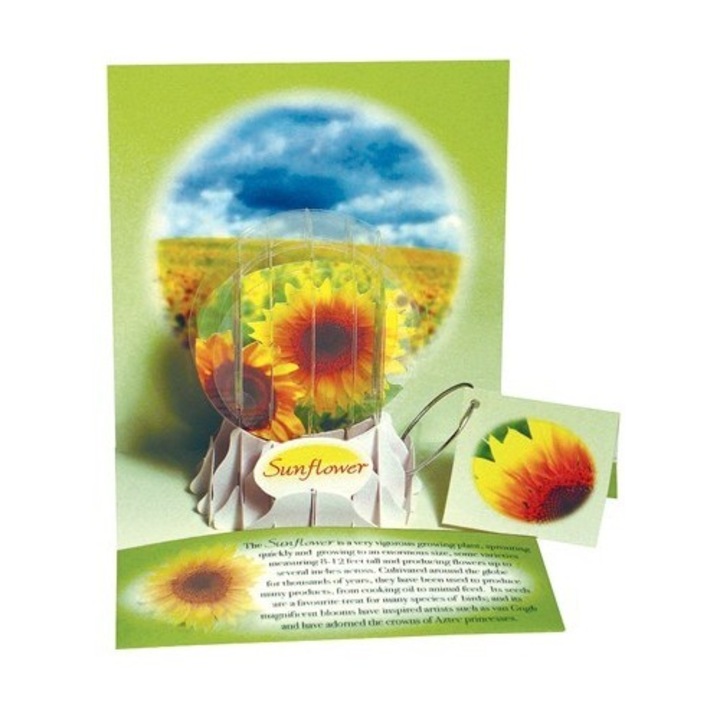Üdvözlőlap 3D típusú földgömb-napraforgó
