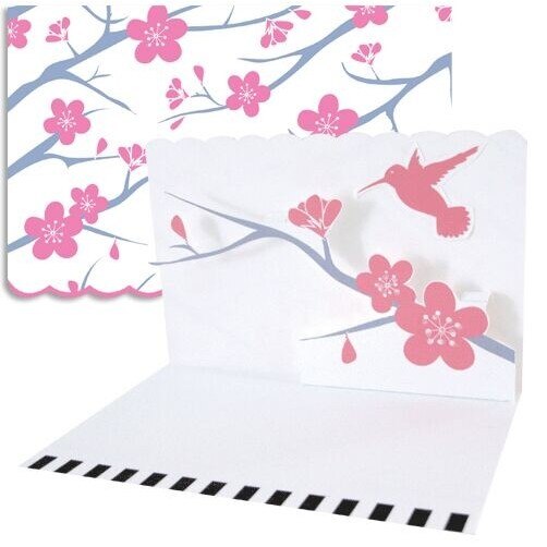 Invitatii 3D Colibri