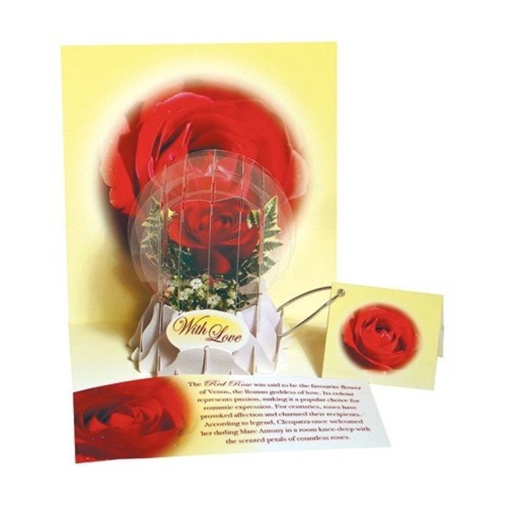 3D üdvözlőlap típusú globe-Red Rose