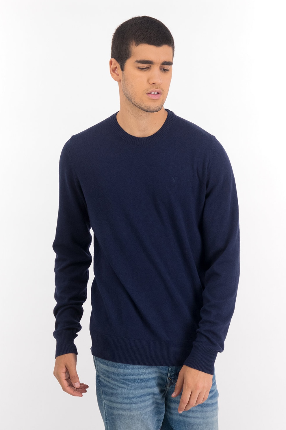 American Eagle, Pulover cu decolteu rotund si broderie logo, Bleumarin