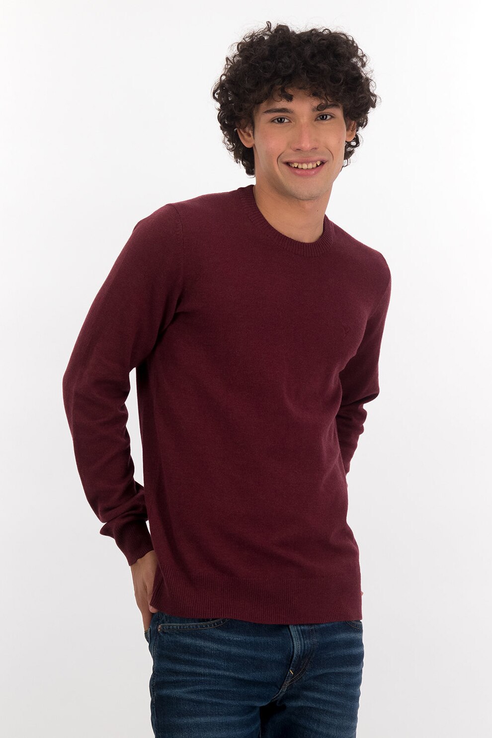 American Eagle, Pulover cu decolteu rotund si broderie logo, Visiniu