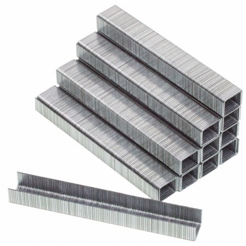 Capse pentru RD-AS04 20x10x1.2mm 5000 bucati, Raider, 511411 Capse pentru RD-AS04 20x10x1.2mm 5000 bucati, Raider, 511411
