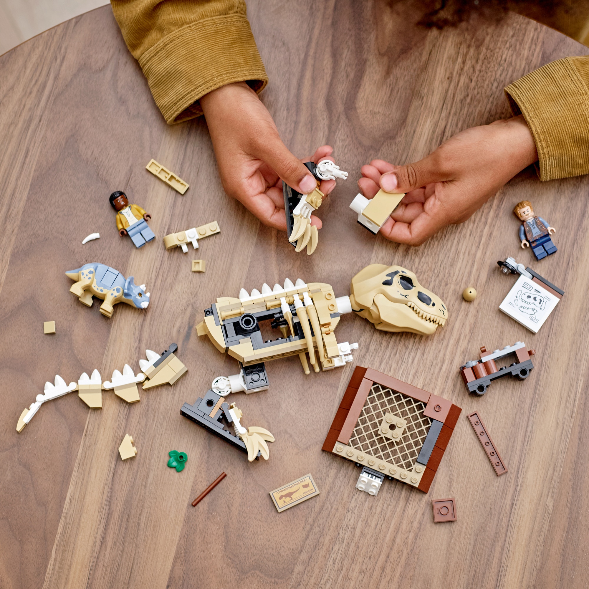 LEGO Jurassic World - Expozitia fosilei dinozaurului T. rex 76940