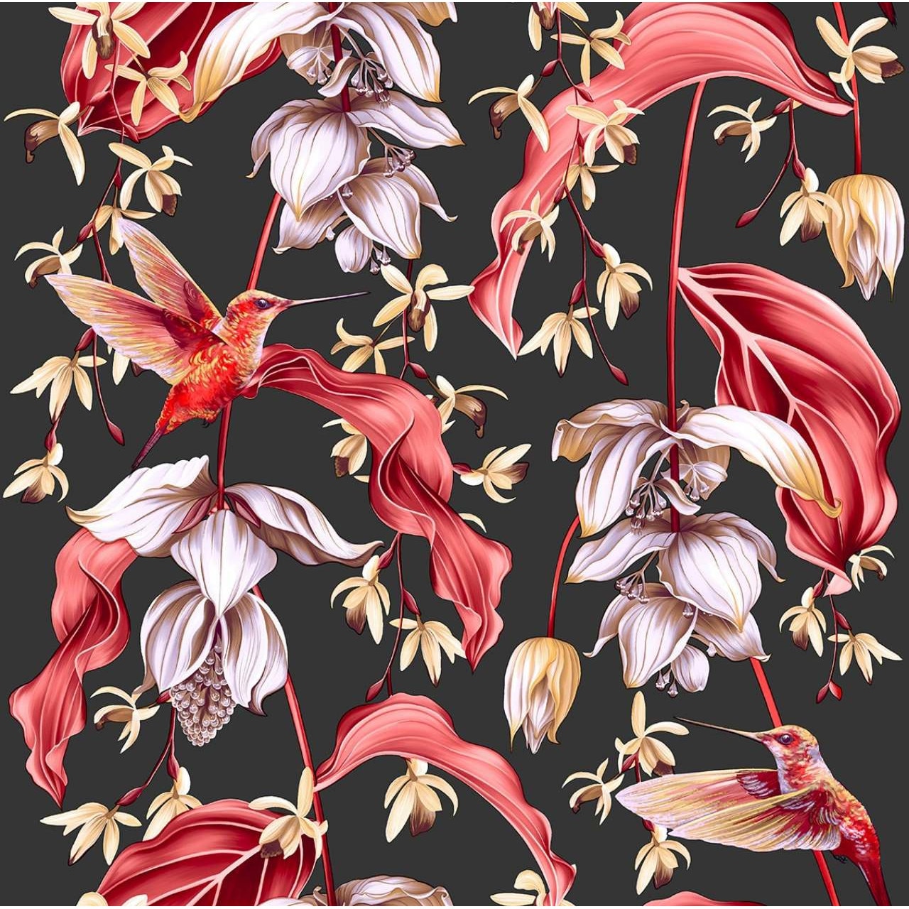 Tapet DEGRETS 1502 Hartie, Colibri 3D negru, 0.53m x 10.05m, 5.3 mp