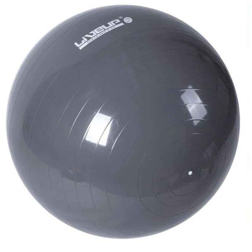 Minge de fitness gonflabila, gri, 75cm