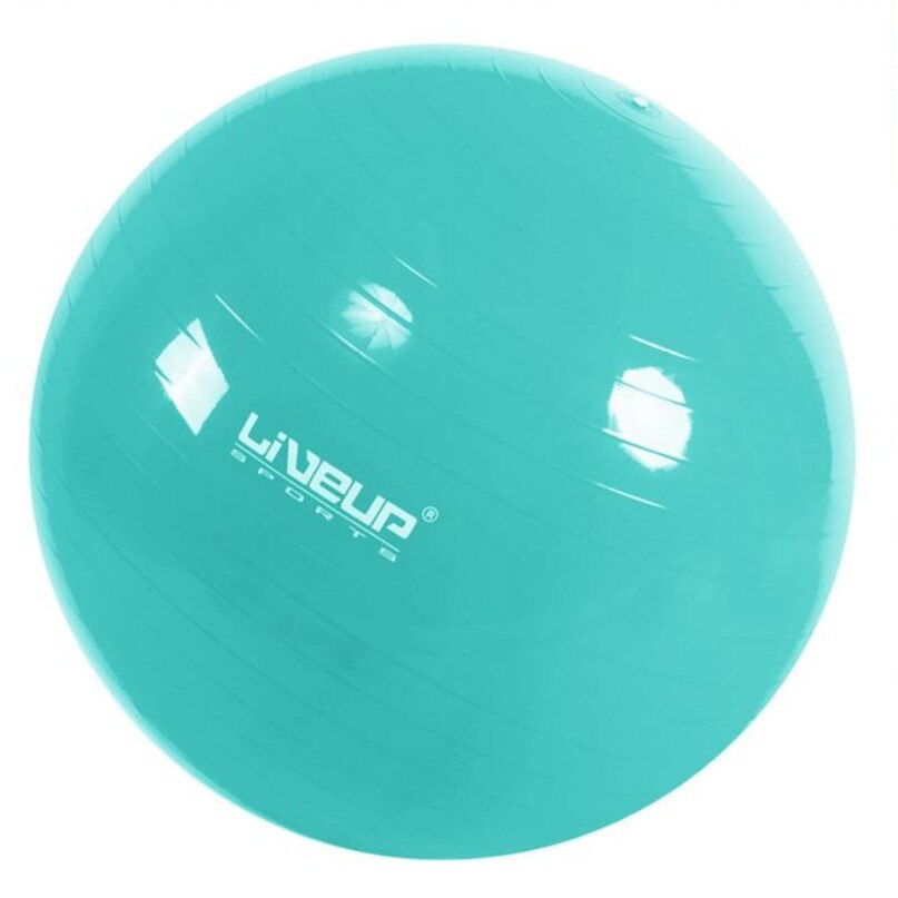 Minge de fitness gonflabila, bleu, 65cm
