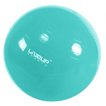 Minge de fitness gonflabila, bleu, 65cm Minge de fitness gonflabila, bleu, 65cm
