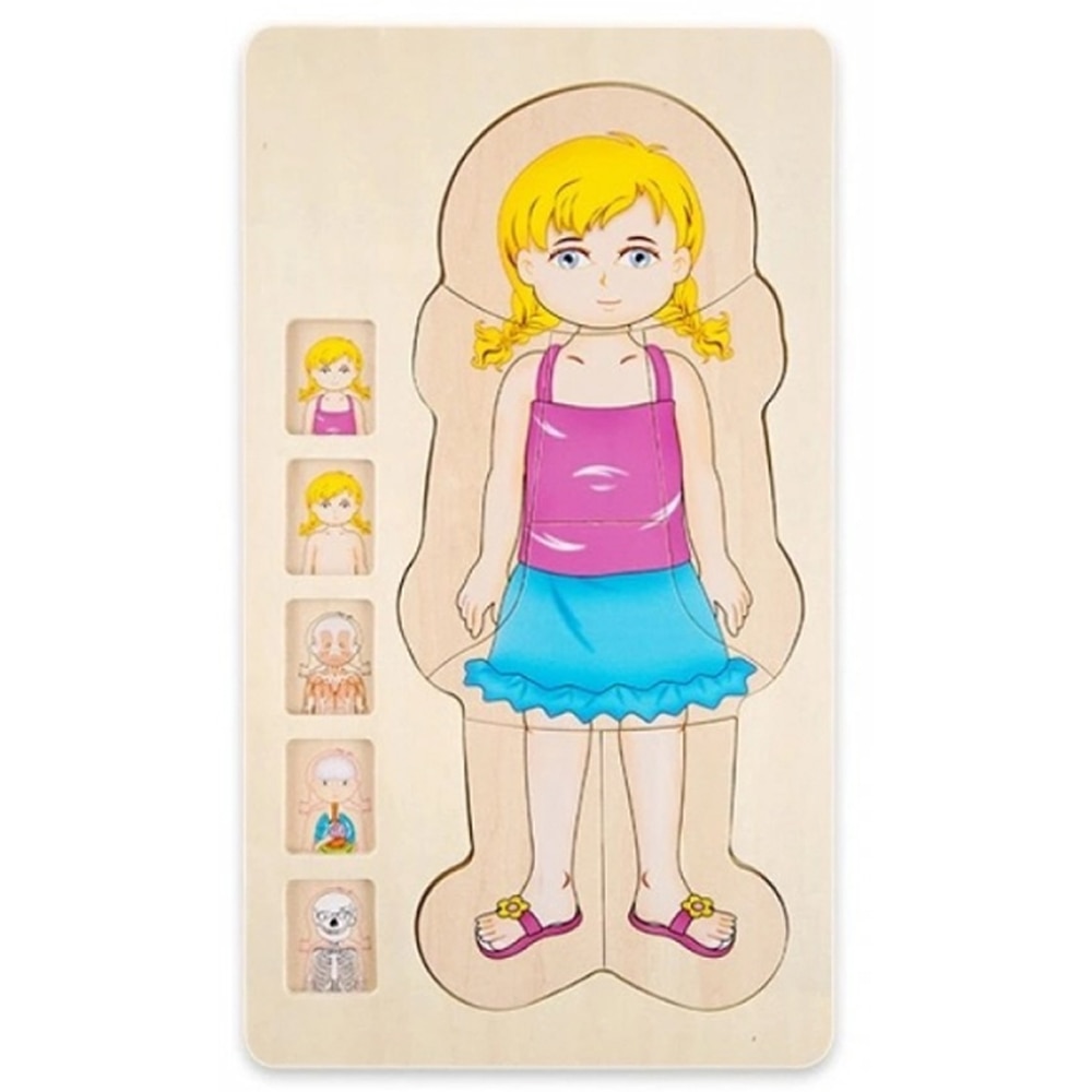 Puzzle Lemn Incastru - Anatomie a Corpului Uman, Fetita,36 piese, WD9530-B RCO®