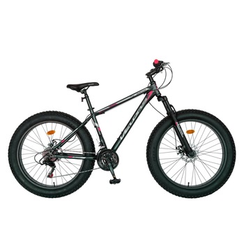 Bicicleta VELORS Mountain Bike, Hercules Fat Bike, Marime cadru 18 inch, Roti 26 inch, Schimbator Shimano Tourney Sis, Culoare Gri/Rosu Bicicleta VELORS Mountain Bike, Hercules Fat Bike, Marime cadru 18 inch, Roti 26 inch, Schimbator Shimano Tourney Sis, Culoare Gri/Rosu