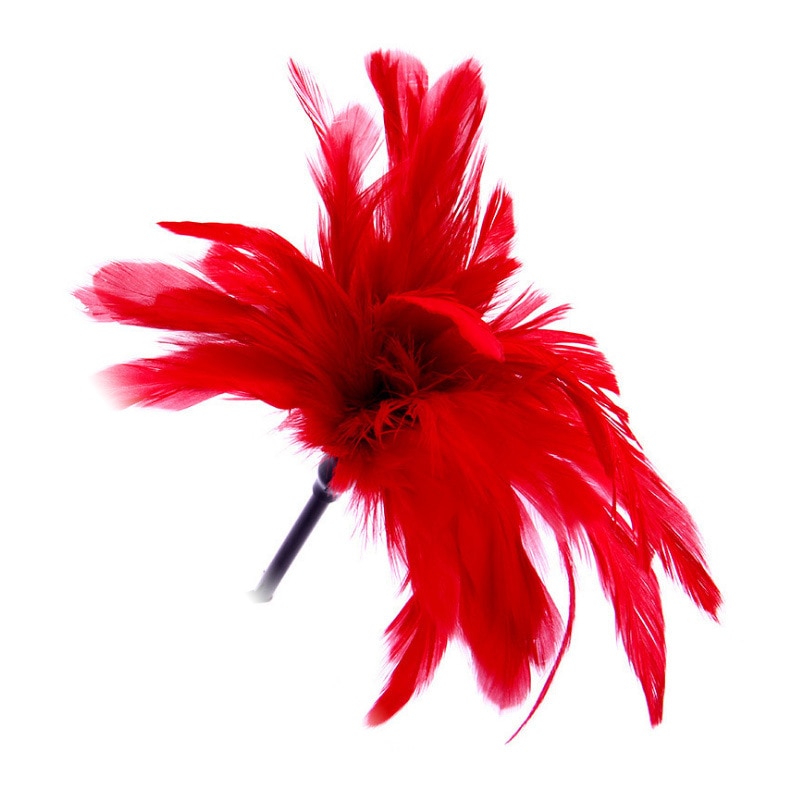 Gadilator Tickler Whip Rosu