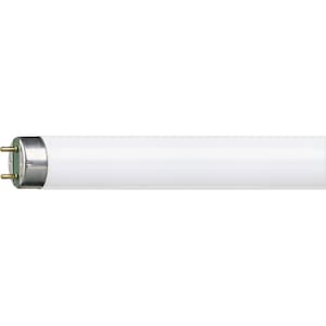 Illustrate classmate Telegraph Neon Philips MASTER TL-D Super 80. 36 W, 1SL/25 - eMAG.ro