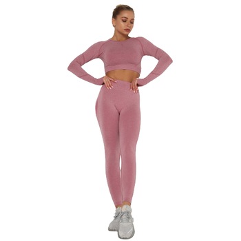 Set Sport 2 Piese Colanti si Bluza Crop cu Maneci, Roz Set Sport 2 Piese Colanti si Bluza Crop cu Maneci, Roz