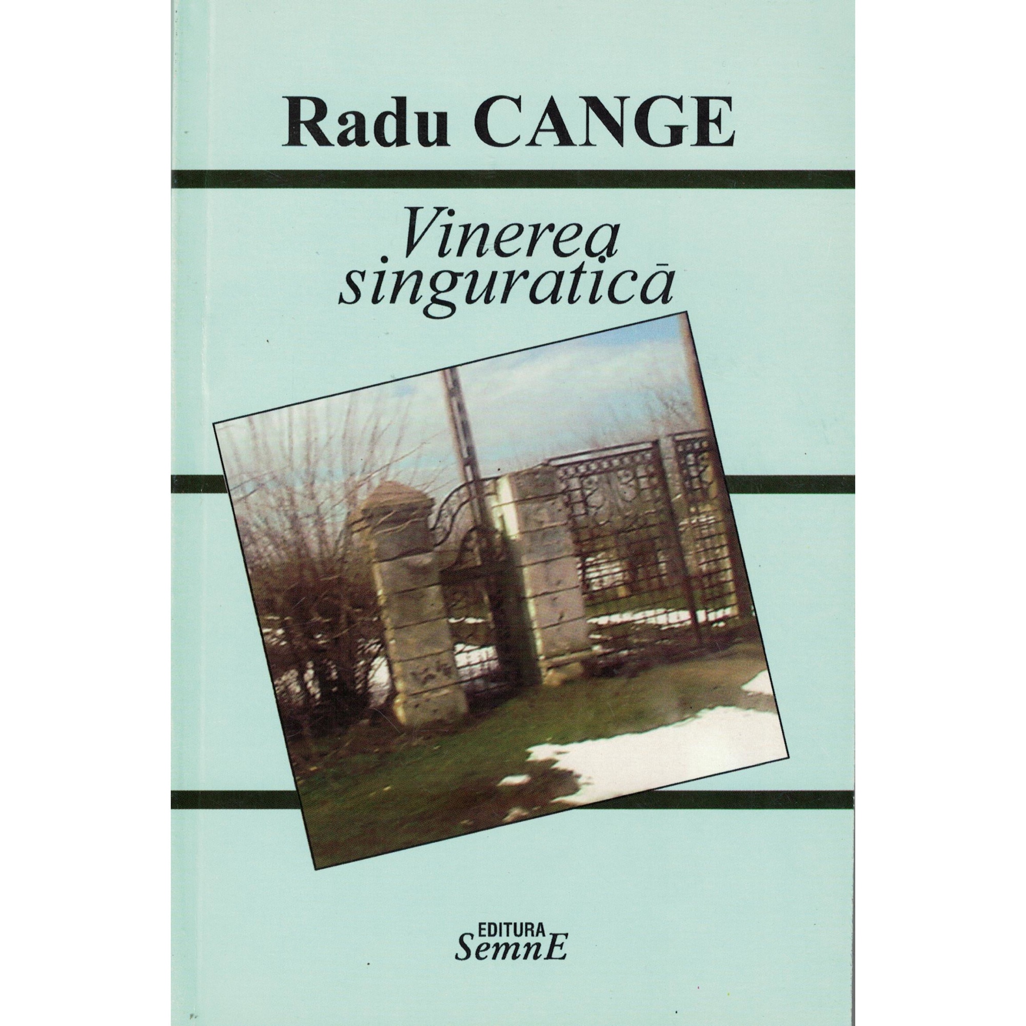 Vinerea singuratica - Radu Cange