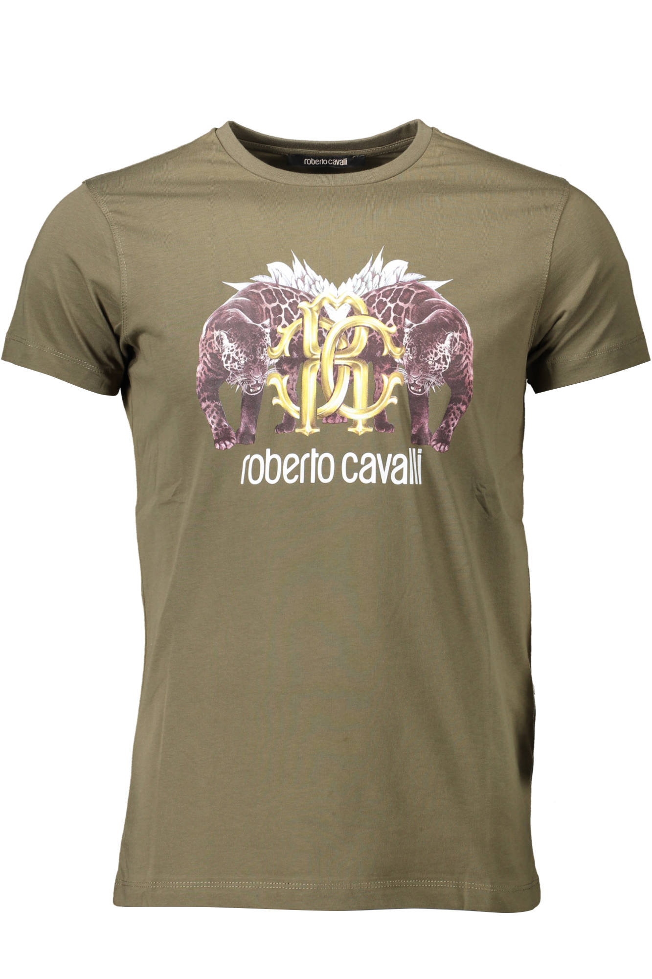 Tricou Barbati, ROBERTO CAVALLI, 9101818, Logo, Verde, Verde