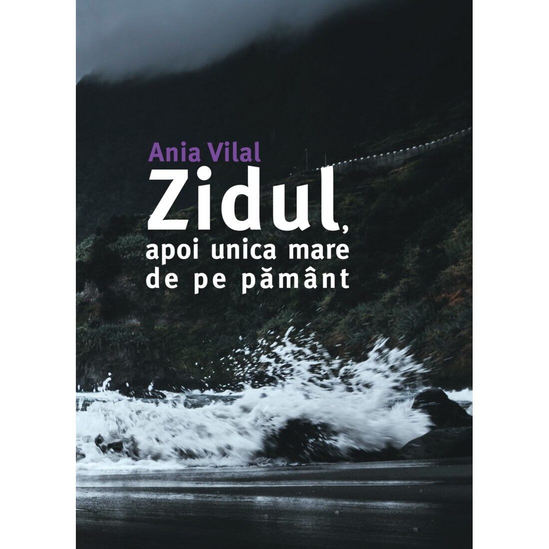 Zidul, apoi unica mare de pe pamant - Ania Vilal, editia 2021
