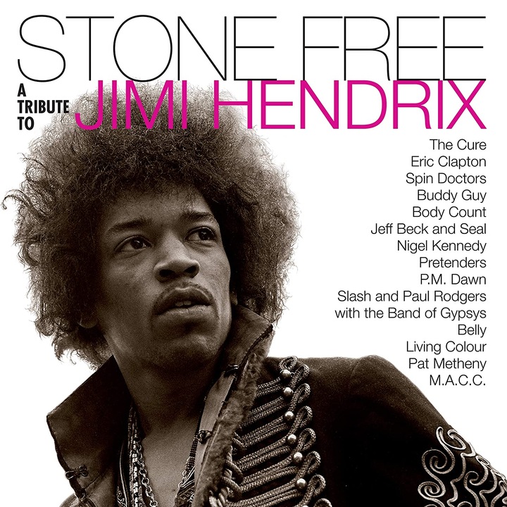 The Cure, Eric Clapton, Nigel Kennedy, Pat Metheny-Stone Free (A Tribute To Jimi Hendrix)-2LP