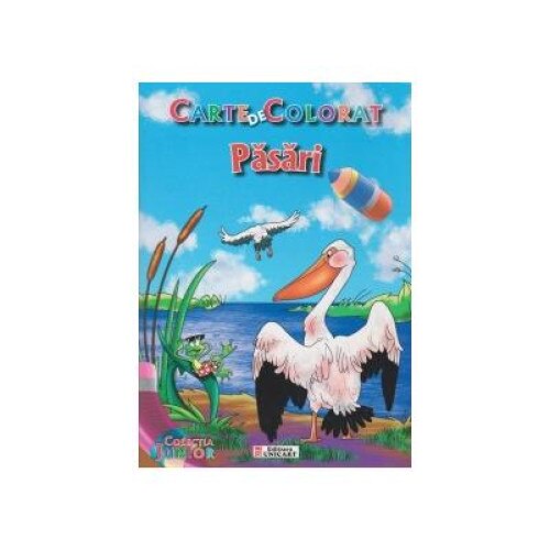 Carte de colorat - Pasari