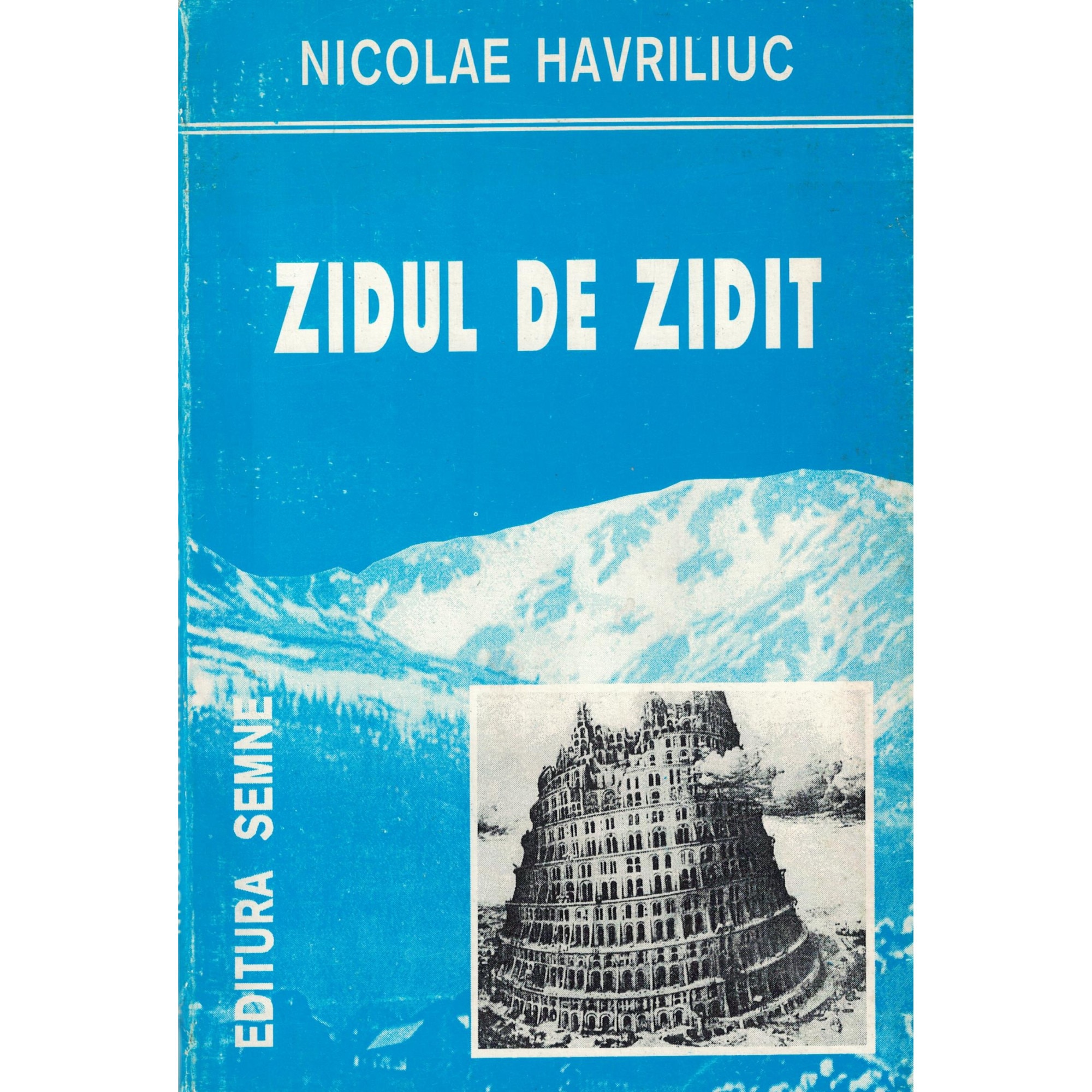 Zidul de zidid - Nicolae Havriliuc