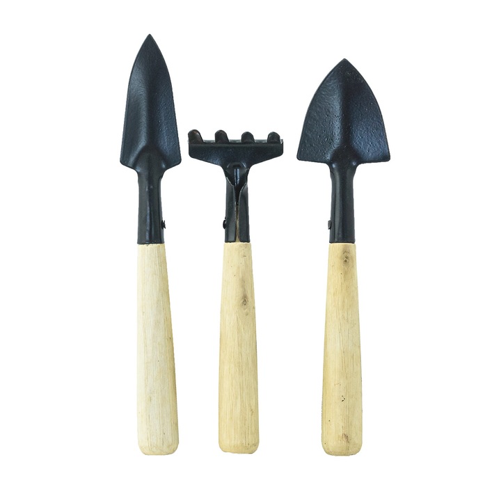 Set unelte ingrijire plante de interior, manere din lemn, 3 piese