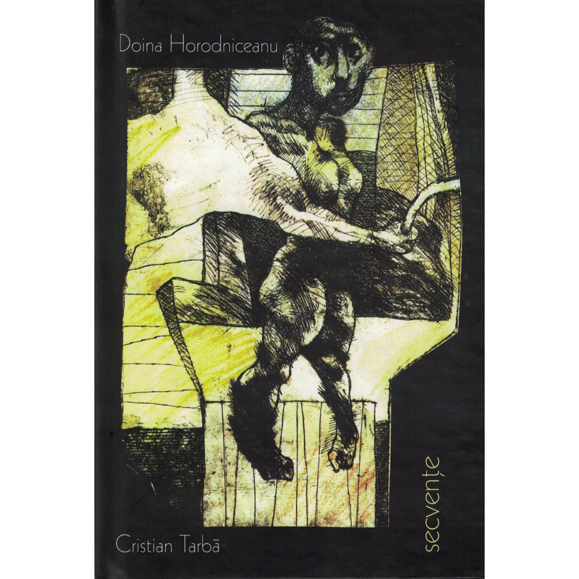 Secvente - Doina Horodniceanu