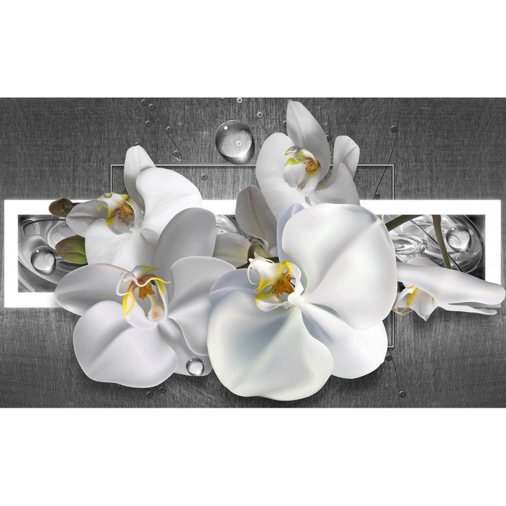 Fototapet 3D, O orhidee alba pe un fundal gri, Fantezie, Abstractie, Floral, 3D, Dormitor, Living, 200 x 150 cm