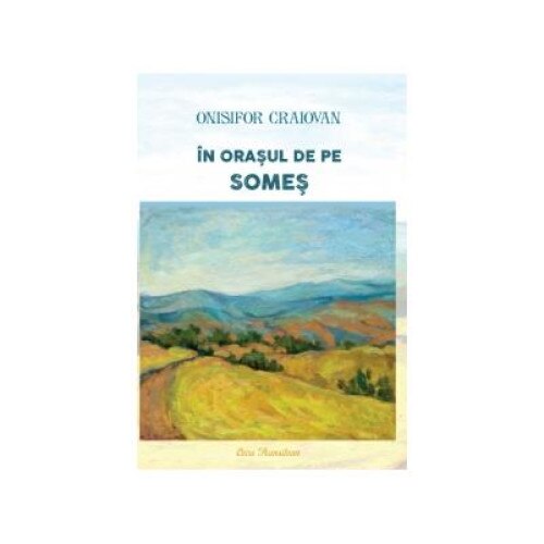 In orasul de pe Somes