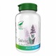 Salvie 60 capsule