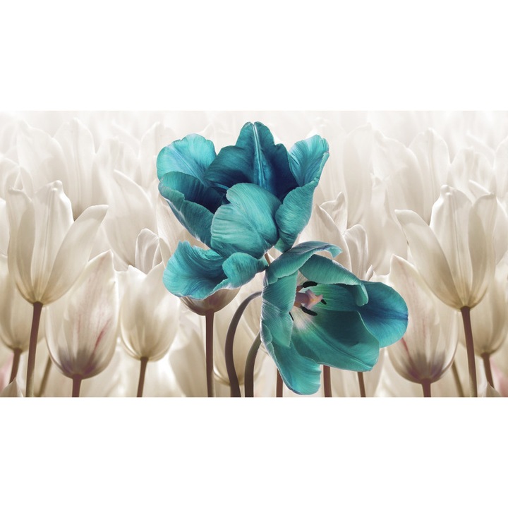 Fototapet, Lalele albastre printre albi, Flori, Turcuaz/ Alb, Floral, Natura, Exotic, Abstract, 400 x 250 cm