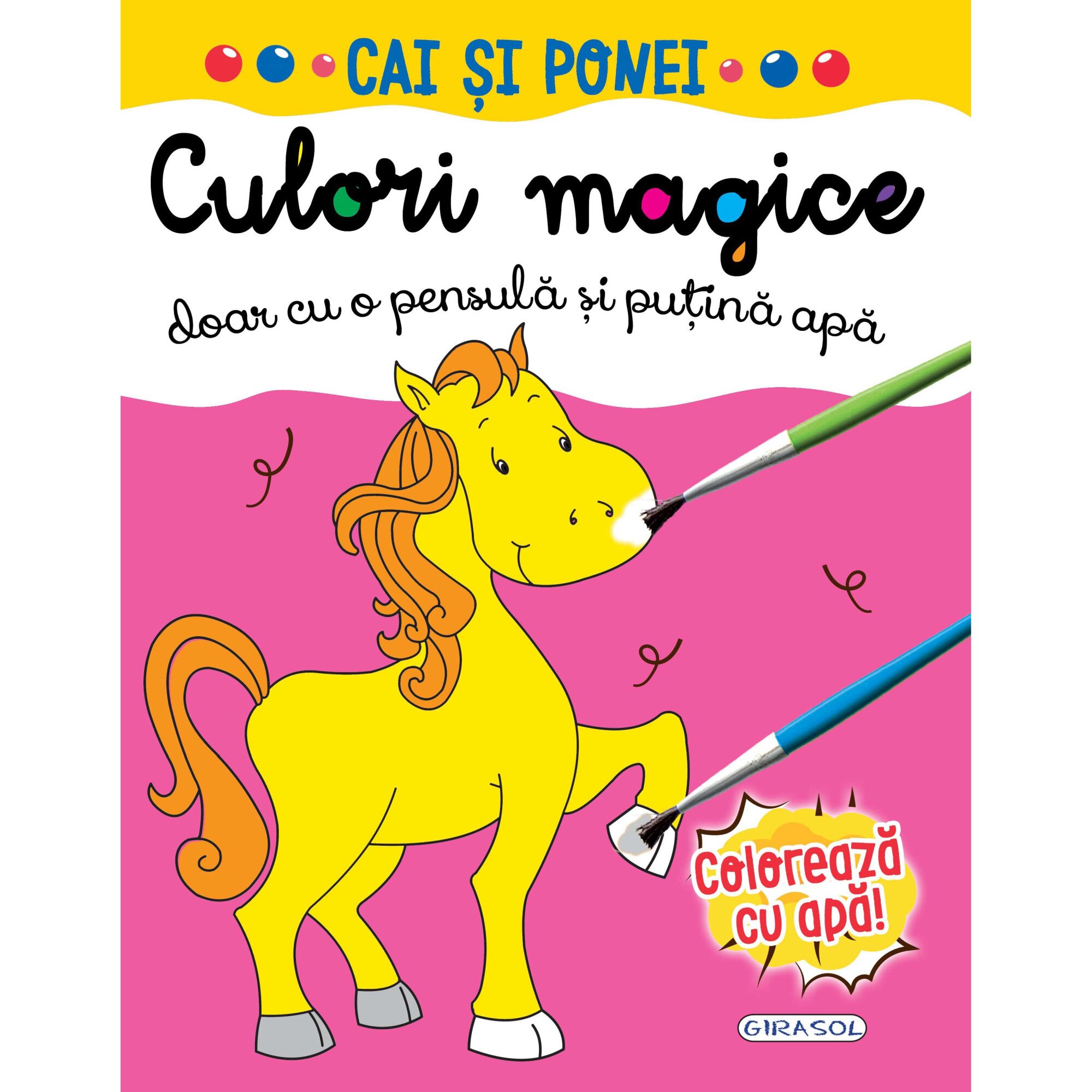 Culori magice - Cai si ponei