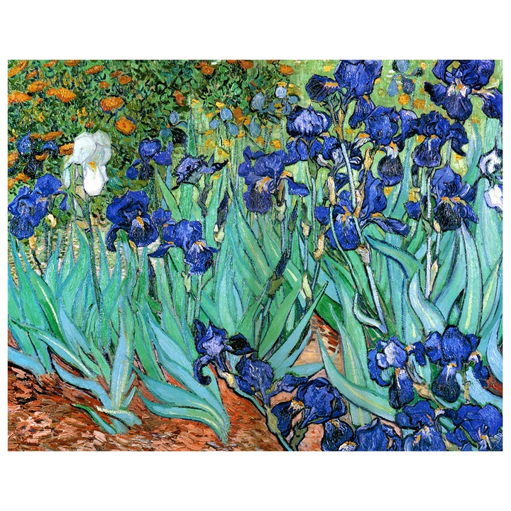 Tablou Legendarte, Iris, Vincent Van Gogh, 80x100 cm, Multicolor