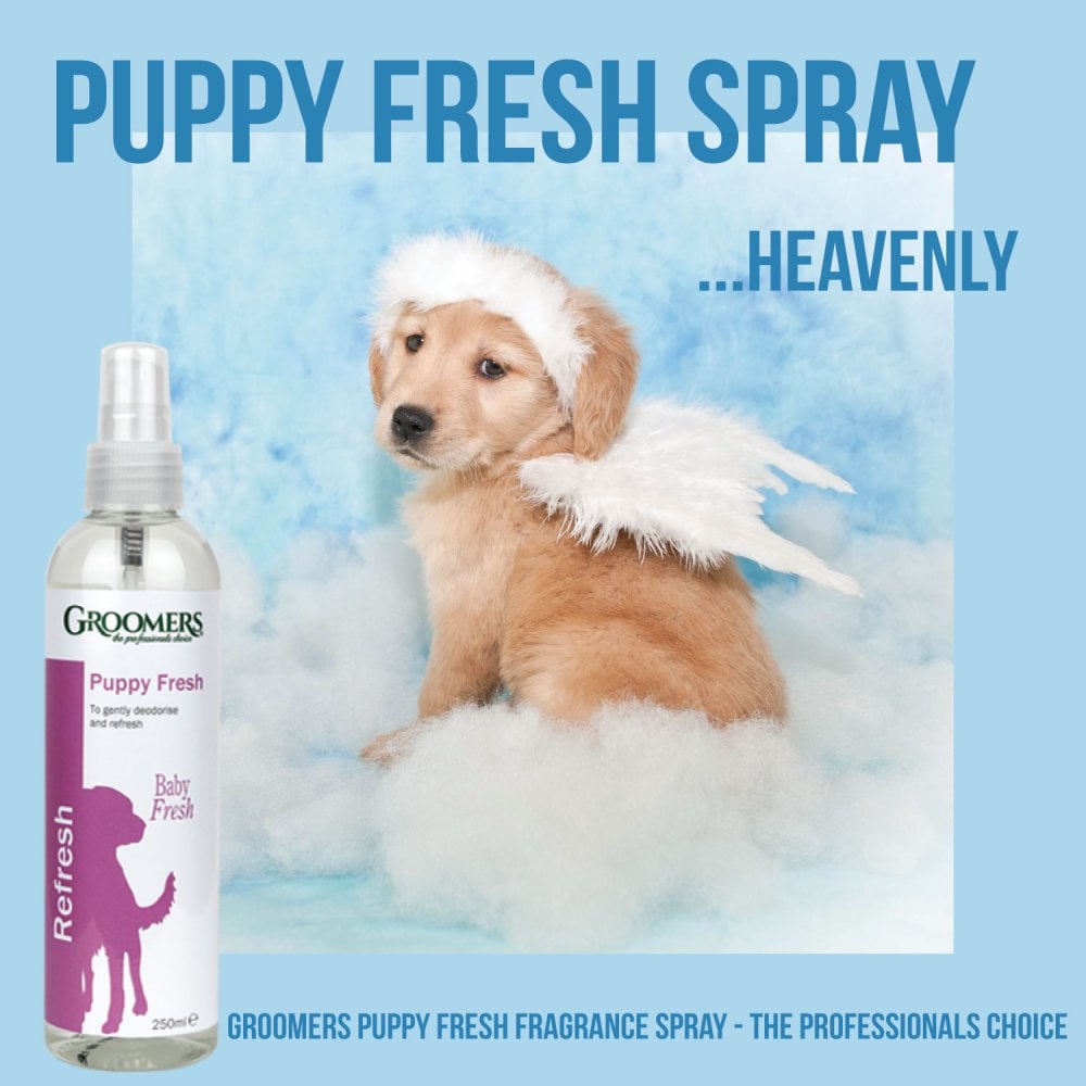 Groomers puppy 2024 fresh spray