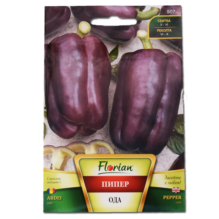 Seminte de Ardei Oda violet, 1 gram