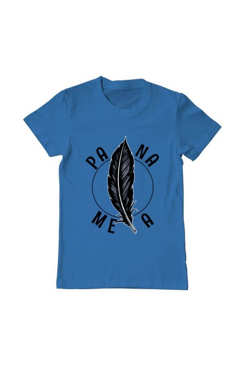 Tricou barbat, Printado, pana mea, Bumbac, Regular fit, Albastru azuriu, 3XL INTL