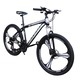 Bicicleta MTB 26 inch, PHOENIX, schimbator Shimano 21 viteze, frane pe disc, cadru otel, Tornado