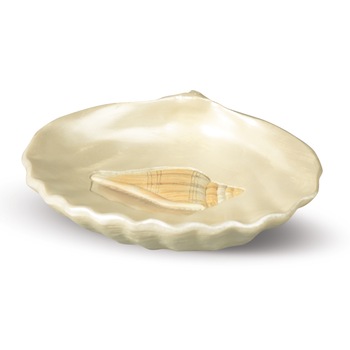 Savoniera polirasina in forma de scoica, Tatkraft 11007 Savoniera polirasina in forma de scoica, Tatkraft 11007