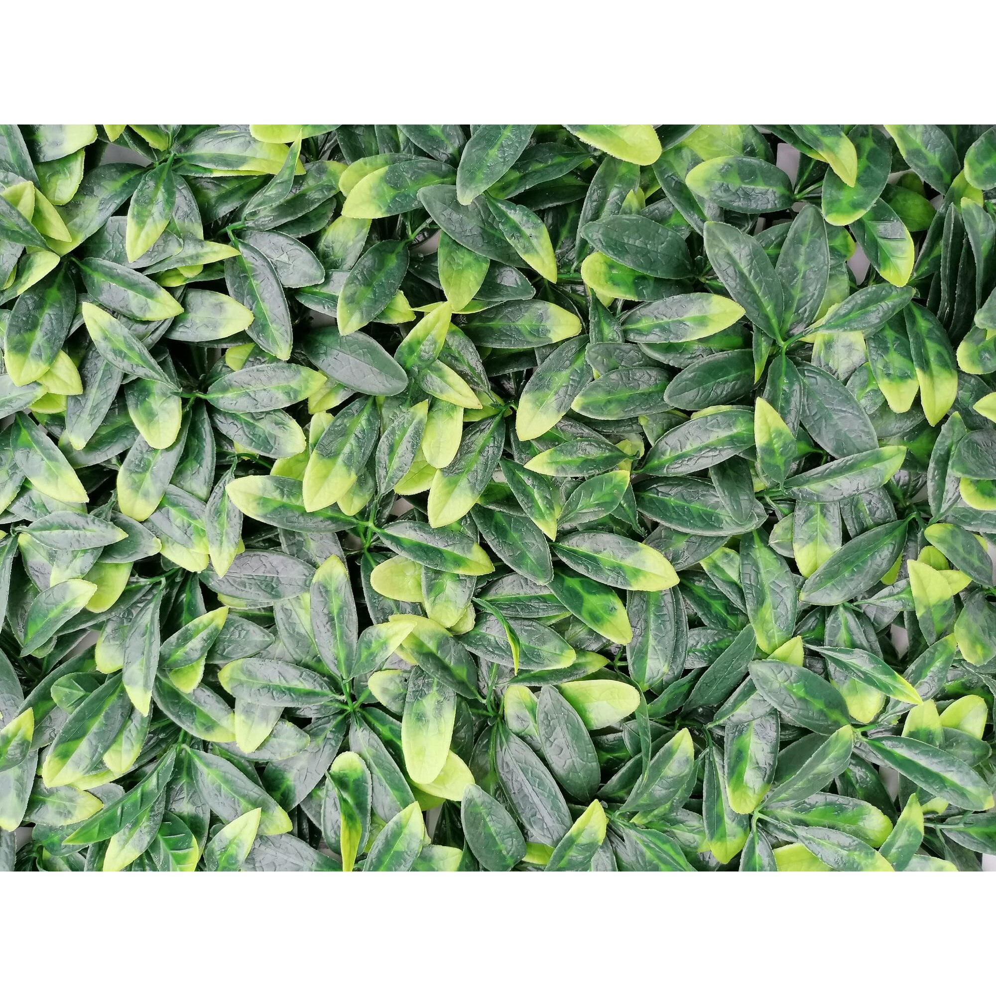 Fieronart, Murraya, Műnövény panel, falra, 60x40 cm eMAG.hu