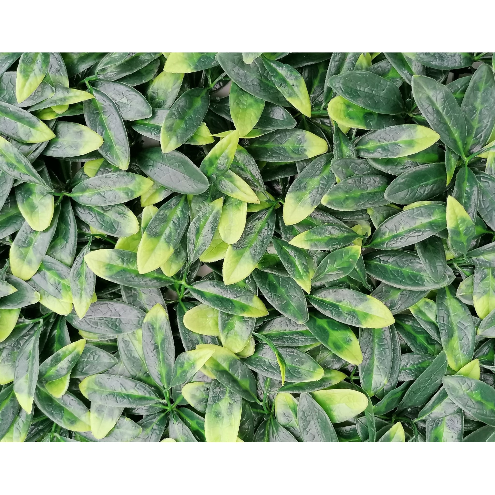 Fieronart, Murraya, Műnövény panel, falra, 60x40 cm eMAG.hu