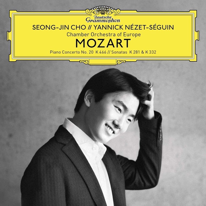Mozart - Piano Concerto No. 20 - Vinyl - Vinyl