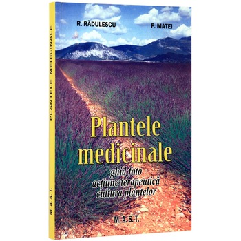 Plante Medicinale Plante Medicinale