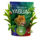 Yerba Mate Tea, Yaguar, Cannabis, Gyógynövény, Energizál, Brazíliából 500g