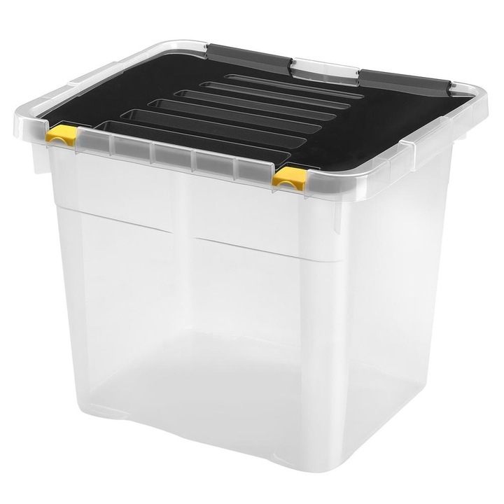 Heidrun Dragon Box Cutie depozitare 36L 43x35x35,5cm One Cu capac