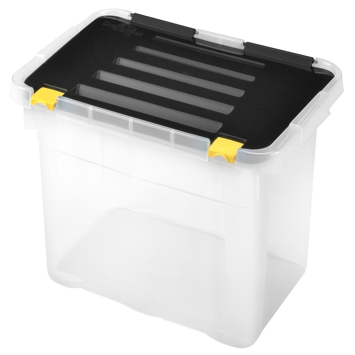 Heidrun Dragon Box Cutie depozitare 18L 39,5x27x27,5cm One Cu capac