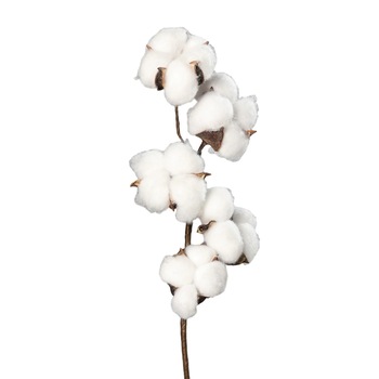 Floare de bumbac artificiala alb - 40 cm Floare de bumbac artificiala alb - 40 cm