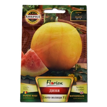 Seminte de pepene galben Zloto Woloci, 1 gram Seminte de pepene galben Zloto Woloci, 1 gram