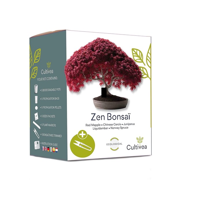 Kit de crestere plante Zen Bonsai