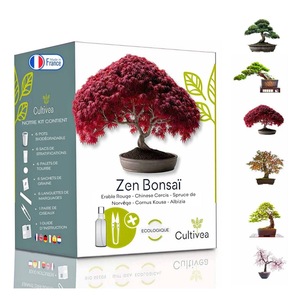 Bulbi, seminte si rasaduri